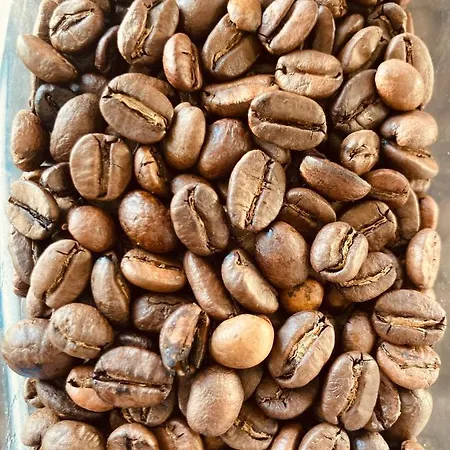 Michelet Soulac-sur-Mer