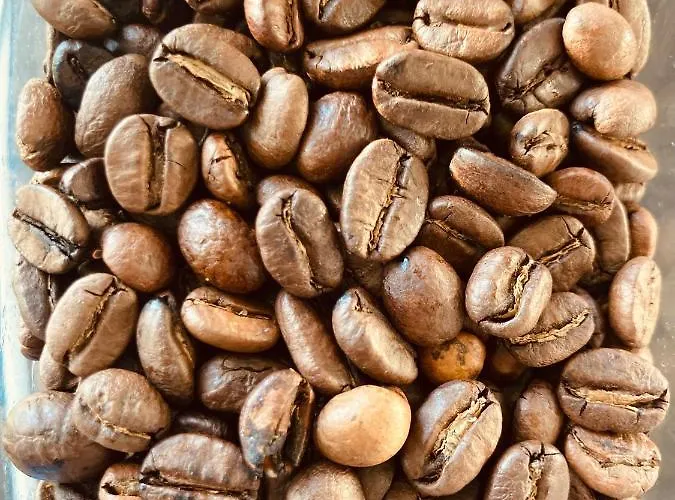 Michelet Soulac-sur-Mer