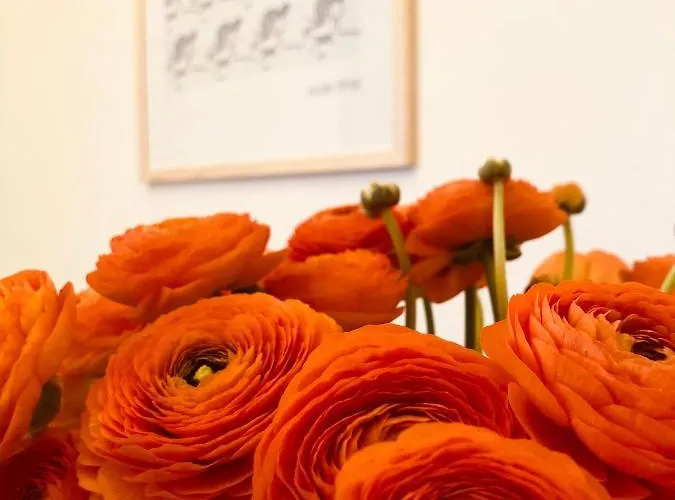 Hotel Michelet Soulac-sur-Mer